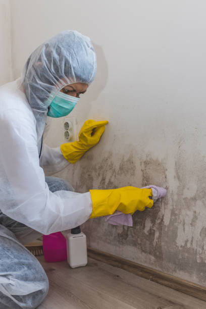 Best HVAC Mold Inspection and Cleaning  in Mccord, OK