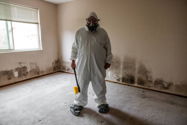 Best Mold Remediation for Healthcare Facilities  in Mccord, OK